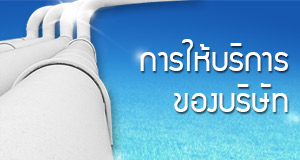 การให้บริการของบริษัท